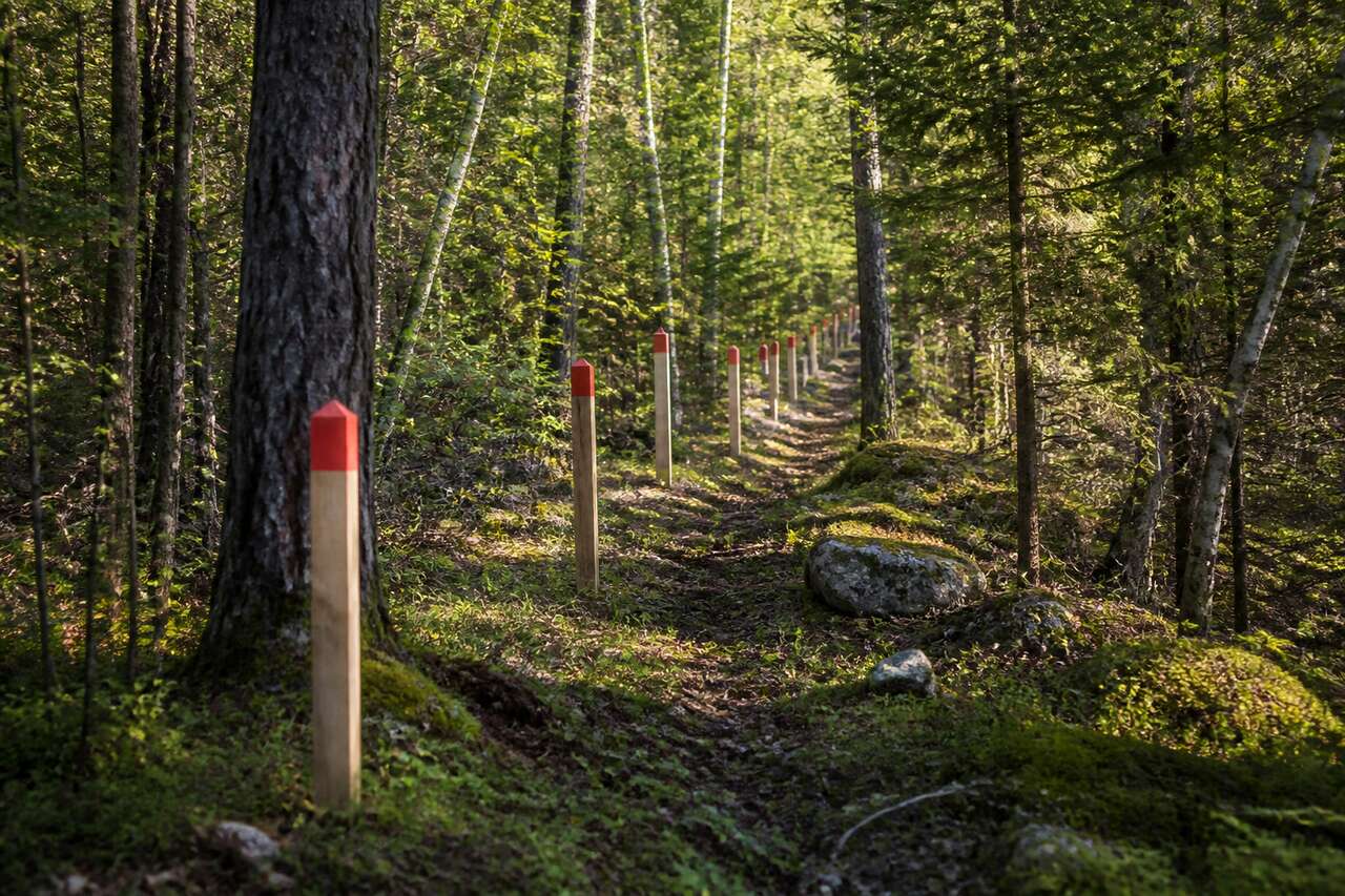 Limiter les litiges: comment retrouver et confirmer les limites d&rsquo;une parcelle de bois